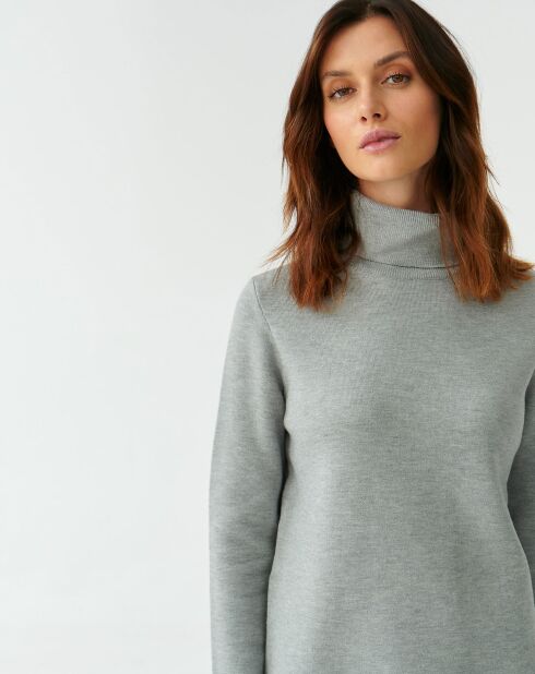 Grijze sweater Pimpo 1
