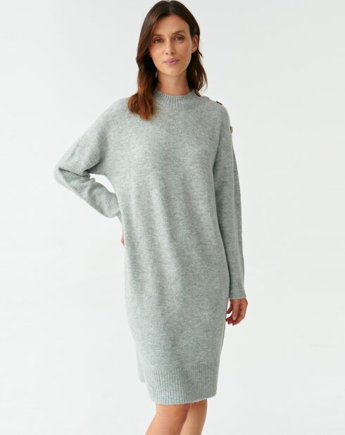 Robe Anica grise