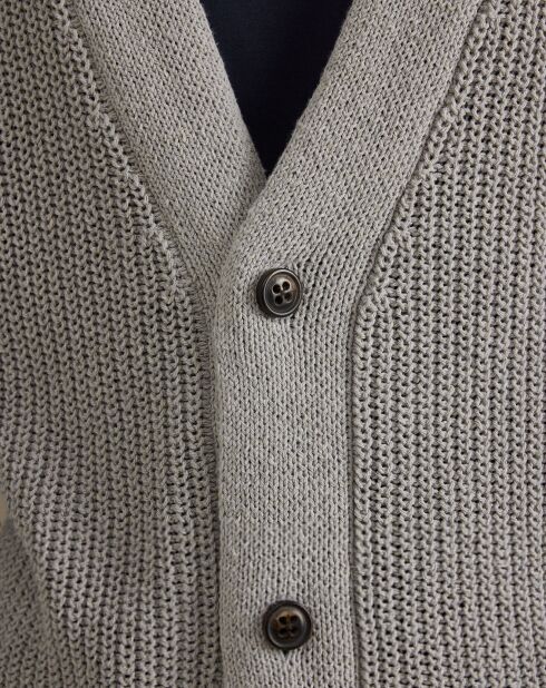 Cardigan Nopo gris