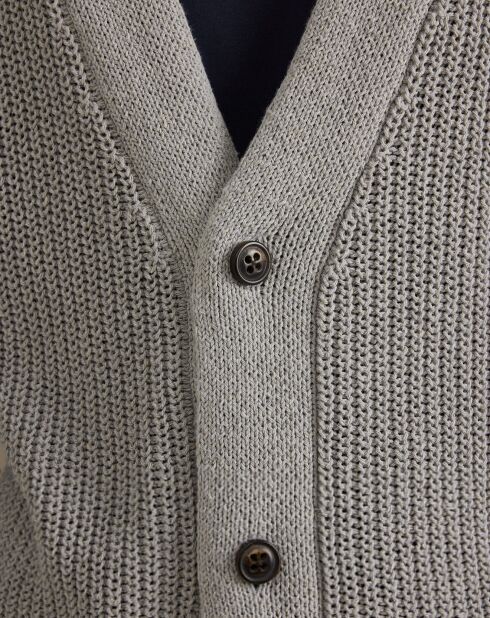 Cardigan Nopo gris