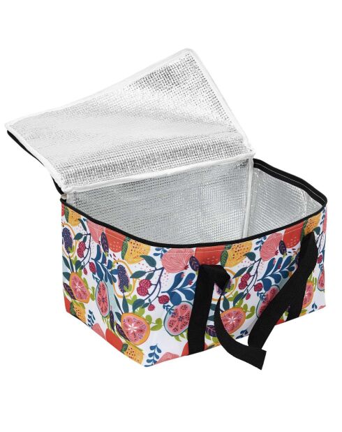 Grand Sac fraicheur coloris aléatoires - 40x21x25 cm