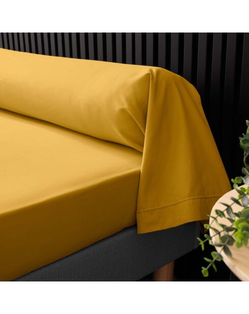 Taie de Traversin percale de coton Percaline curry