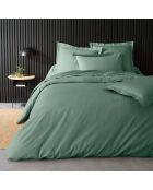 Taie de Traversin percale de coton Percaline tilleul