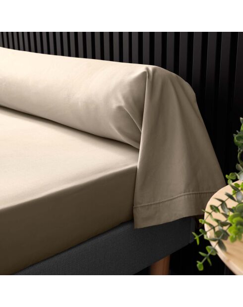 Taie de Traversin percale de coton Percaline sable