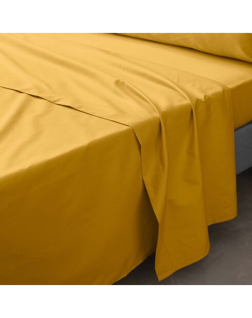Drap Plat percale de coton Percaline curry