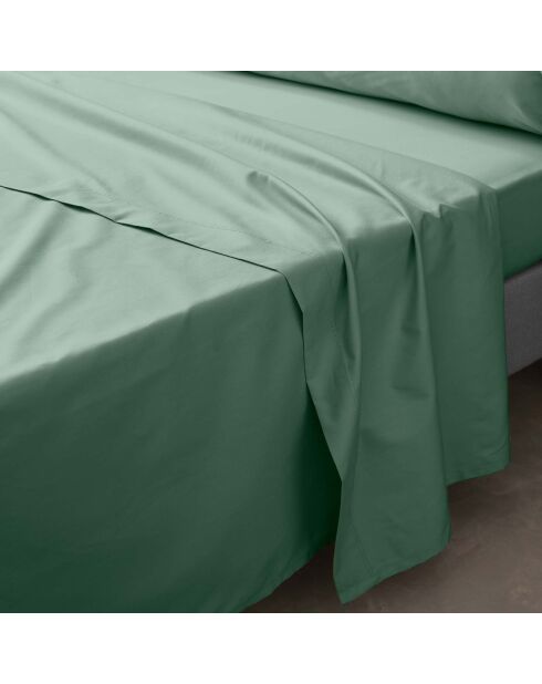 Drap Plat percale de coton Percaline tilleul