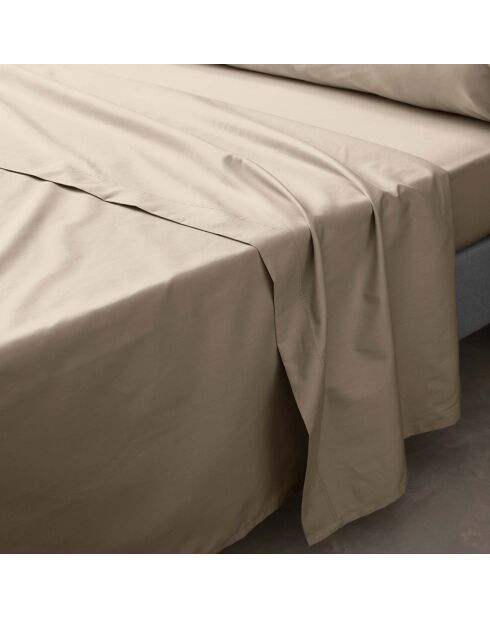 Drap Plat percale de coton Percaline sable