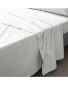 Drap Plat percale de coton Percaline white