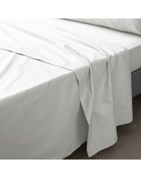 Drap Plat percale de coton Percaline white