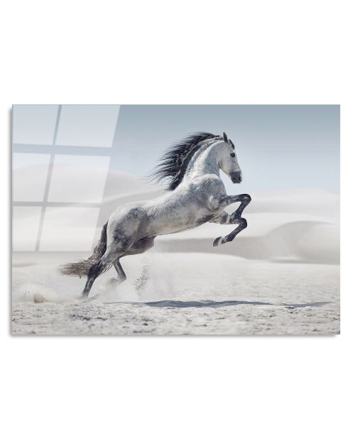 Impression sur verre Cheval multicolore - 50x70 cm