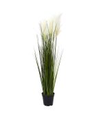 Herbe et Pampa artificiel vert/blanc - 13x90x13 cm