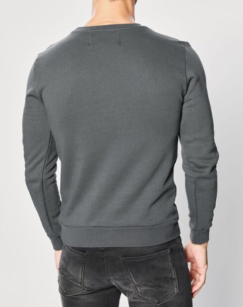 Grijs sweatshirt met logo van twee materialen