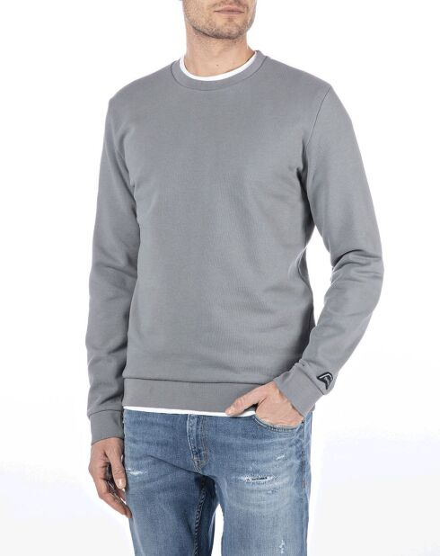 Felpa girocollo grigia