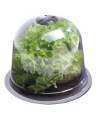 12 campanelle per insalata trasparenti - 25,5x25,5x20 cm