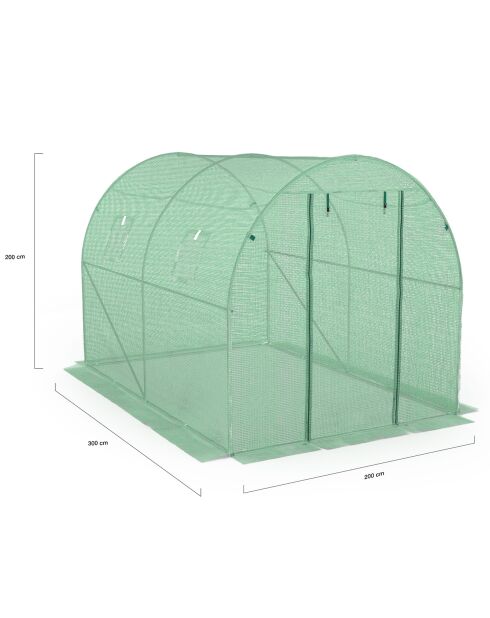 Serra a tunnel da giardino, gamma per tutte le stagioni, telone rinforzato verde - 300x200x200 cm