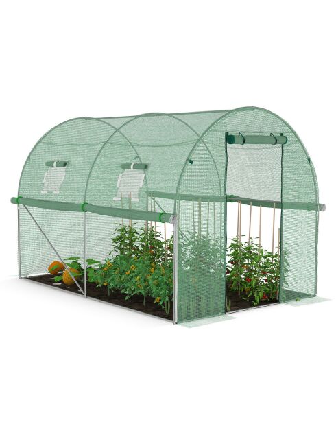 Serra a tunnel da giardino, gamma per tutte le stagioni, telone rinforzato verde - 300x200x200 cm