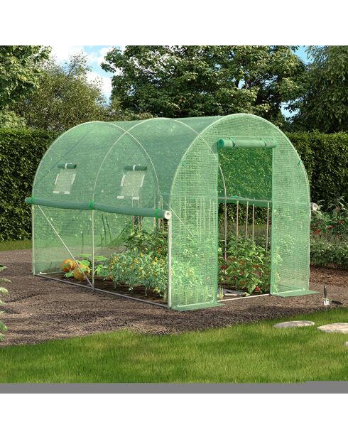 Serra a tunnel da giardino, gamma per tutte le stagioni, telone rinforzato verde - 300x200x200 cm