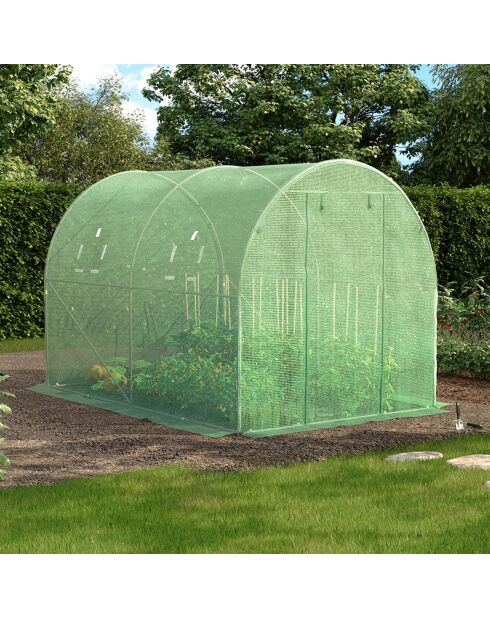 Serra a tunnel da giardino, gamma per tutte le stagioni, telone rinforzato verde - 300x200x200 cm