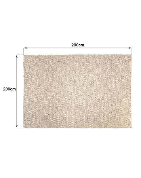 Tapis en Laine bouclée Quentin beige - 290x200 cm