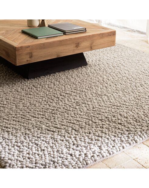 Tapis rectangulaire en Laine bouclée Quentin taupe - 230x160 cm