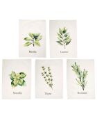 5 Torchons Aroma multicolore - 50x70 cm