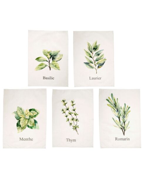 5 Torchons Aroma multicolore - 50x70 cm