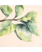 5 Torchons Aroma multicolore - 50x70 cm