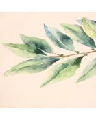 5 Torchons Aroma multicolore - 50x70 cm