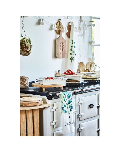 5 mehrfarbige Aroma-Geschirrtücher, 50 x 70 cm