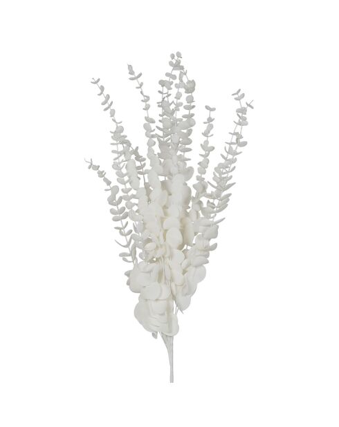Branchage Ceropia blanc - 118 cm