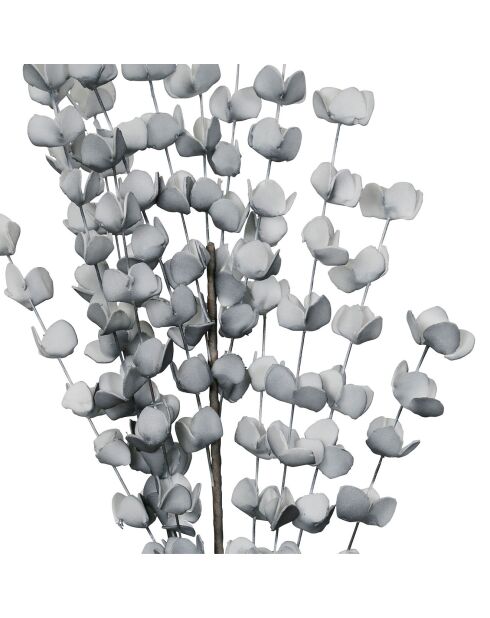 Branchage Eucalyptus gris - 100 cm