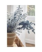 Branchage Eucalyptus gris - 100 cm