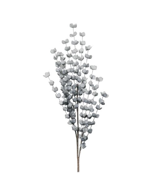 Branchage Eucalyptus gris - 100 cm