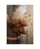 Fleur Ceropia beige clair - 120 cm