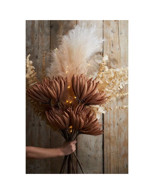 Fleur Ceropia beige clair - 120 cm