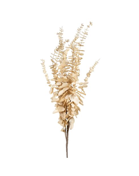 Fleur Ceropia beige clair - 120 cm