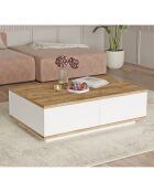 Table basse FR14-AW pin atlantique/blanc - 90x28.6x60 cm