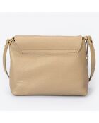 Borsa a tracolla Arya in pelle taupe - 24x6x17 cm