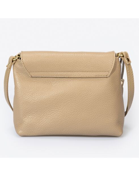 Borsa a tracolla Arya in pelle taupe - 24x6x17 cm