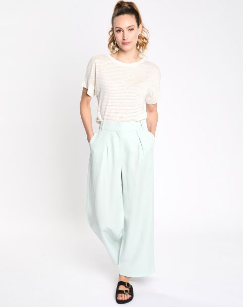 Pantalon en Lin mélangé bleu clair
