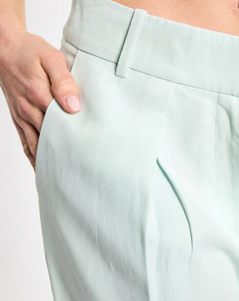 Pantalon en Lin mélangé bleu clair