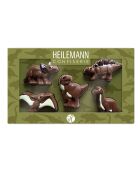 Coffret Dinosaures 100 gr