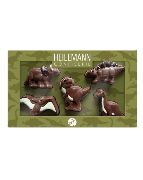 Coffret Dinosaures 100 gr