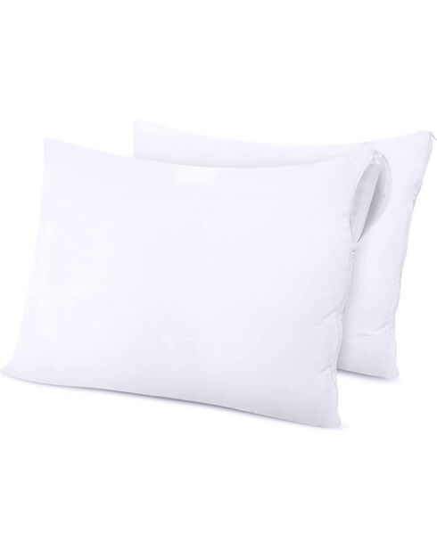 2 protectores de almohada de esponja blanca