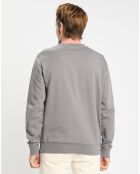 Sweat col rond gris