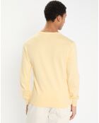 Pull en Coton & Soie col V jaune chiné