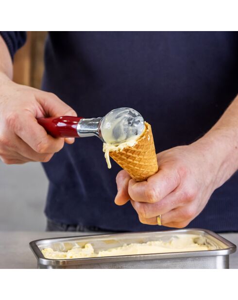 Cuillère à glace Core Line rouge