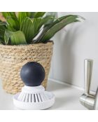 Brosse pour paume des mains blanche