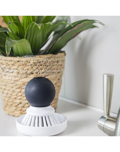 Brosse pour paume des mains blanche