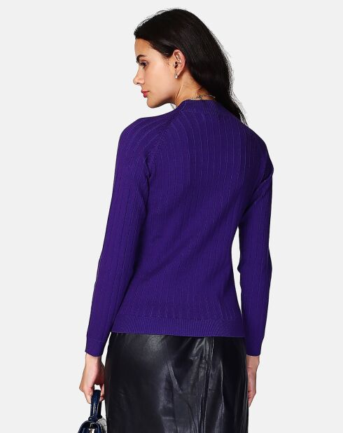 Pull en Cachemire mélangé Abby violet